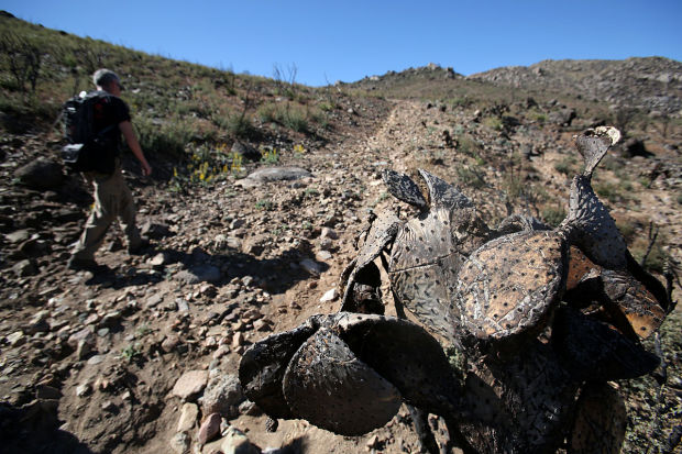 Yarnell Hill Fire